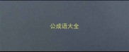 公成语大全