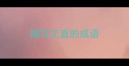 描写正直的成语