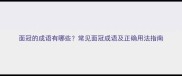 面冠的成语有哪些常见面冠成语及正确用法指南