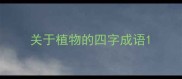 关于植物的四字成语