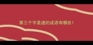 第三个字是道的成语有哪些
