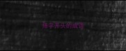措字开头的成语