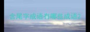 含尾字成语有哪些成语