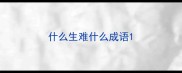 什么生难什么成语