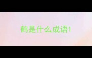 鹤是什么成语