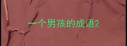 一个男孩的成语