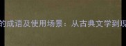 50个形容女子好看的成语及使用场景从古典文学到现代社交的优雅表达