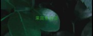 果简单成语