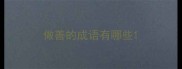 做善的成语有哪些