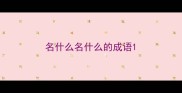 名什么名什么的成语