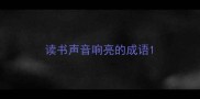 读书声音响亮的成语