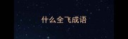 什么全飞成语