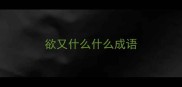 欲又什么什么成语