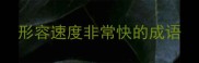 形容速度非常快的成语