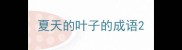 夏天的叶子的成语