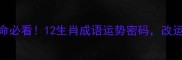 八字算命必看12生肖成语运势密码改运指南