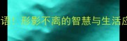 成语密码影子打一成语形影不离的智慧与生活应用附趣味测试