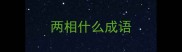 两相什么成语