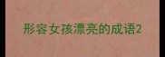 形容女孩漂亮的成语