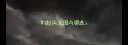 如打头成语有哪些