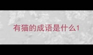 有猫的成语是什么