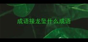 成语接龙坠什么成语