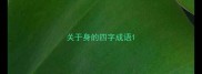 关于身的四字成语