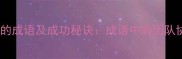 团结拼搏的成语及成功秘诀成语中的团队协作智慧