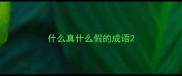 什么真什么假的成语