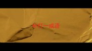 补打一成语