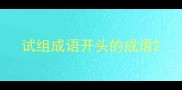 试组成语开头的成语