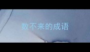 数不来的成语