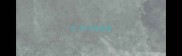 含海字的成语