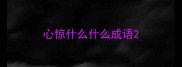 心惊什么什么成语