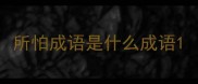 所怕成语是什么成语