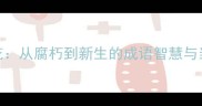朽木生花从腐朽到新生的成语智慧与当代启示