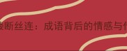 千丝万缕断丝连成语背后的情感与传承密码