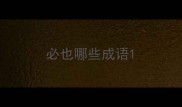 必也哪些成语
