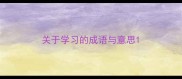 关于学习的成语与意思
