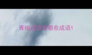 青组成语有哪些成语