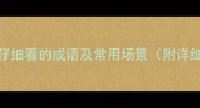 10个表示很仔细看的成语及常用场景附详细用法指南