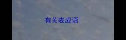 有关表成语
