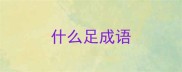 什么足成语
