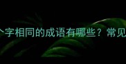 第二个字和第四个字相同的成语有哪些常见错误及正确用法
