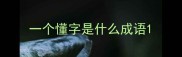 一个懂字是什么成语