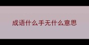 成语什么手无什么意思