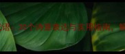 形容美丽夏天的成语30个诗意表达与实用指南解锁盛夏浪漫氛围