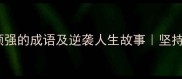 30个形容毅力顽强的成语及逆袭人生故事坚持者的逆袭密码