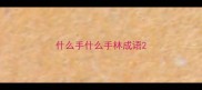 什么手什么手林成语