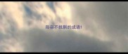 形容不挑剔的成语